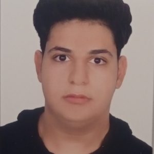 فریلنسر